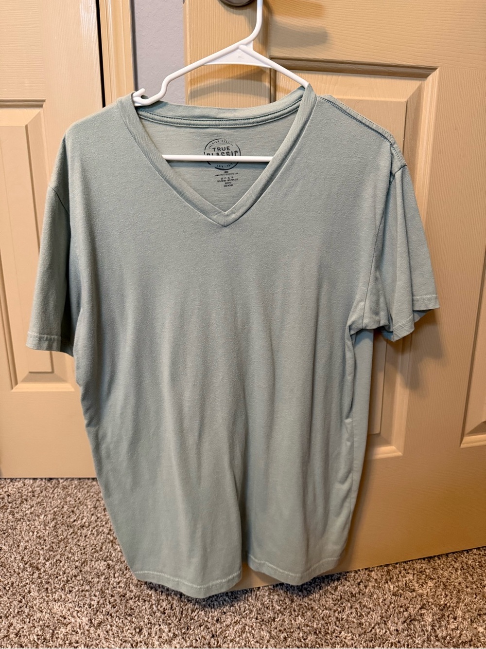 Classic V-Neck Tee in Light Sage - True Classic